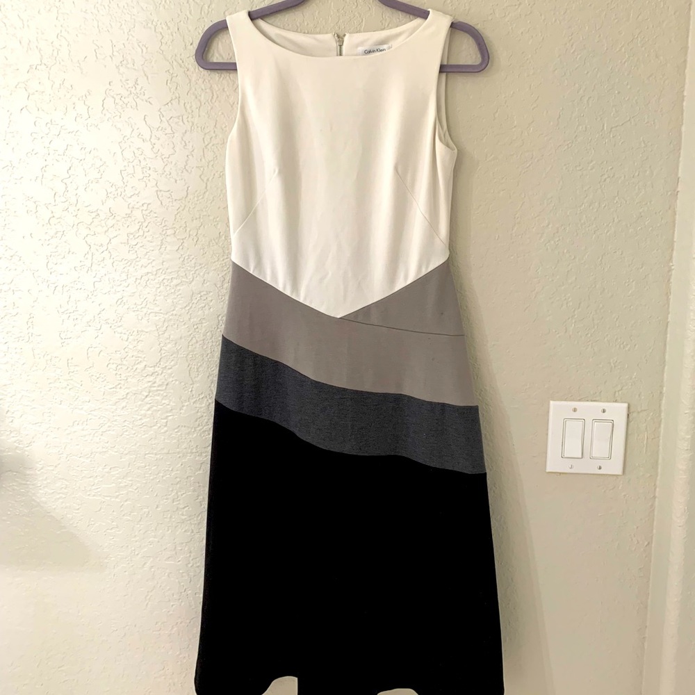 Calvin Klein Fit and Flare dress